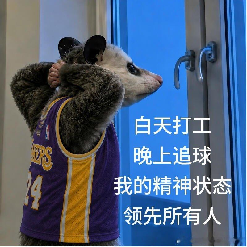 追世界杯的我belike追世界杯整整22天，嘴上说着到此为止。身体很诚实，准时等