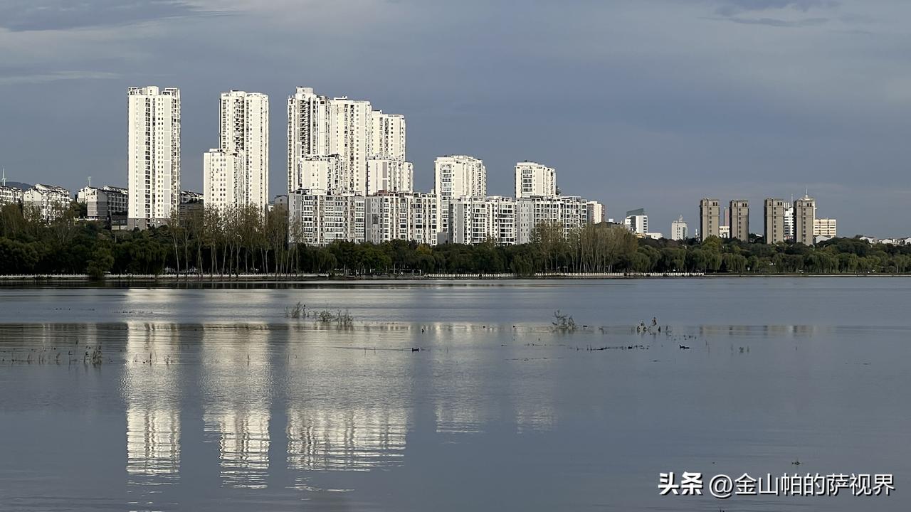浙江人来平顶山之前，我以为“热情”就是客套两句。结果刚下高铁，接站的大哥一把抢过