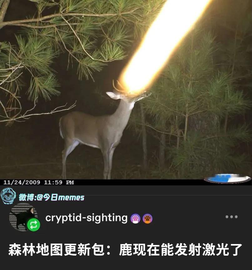 想回到过去（ crypid-sighting）今日meme[超话]今日memes