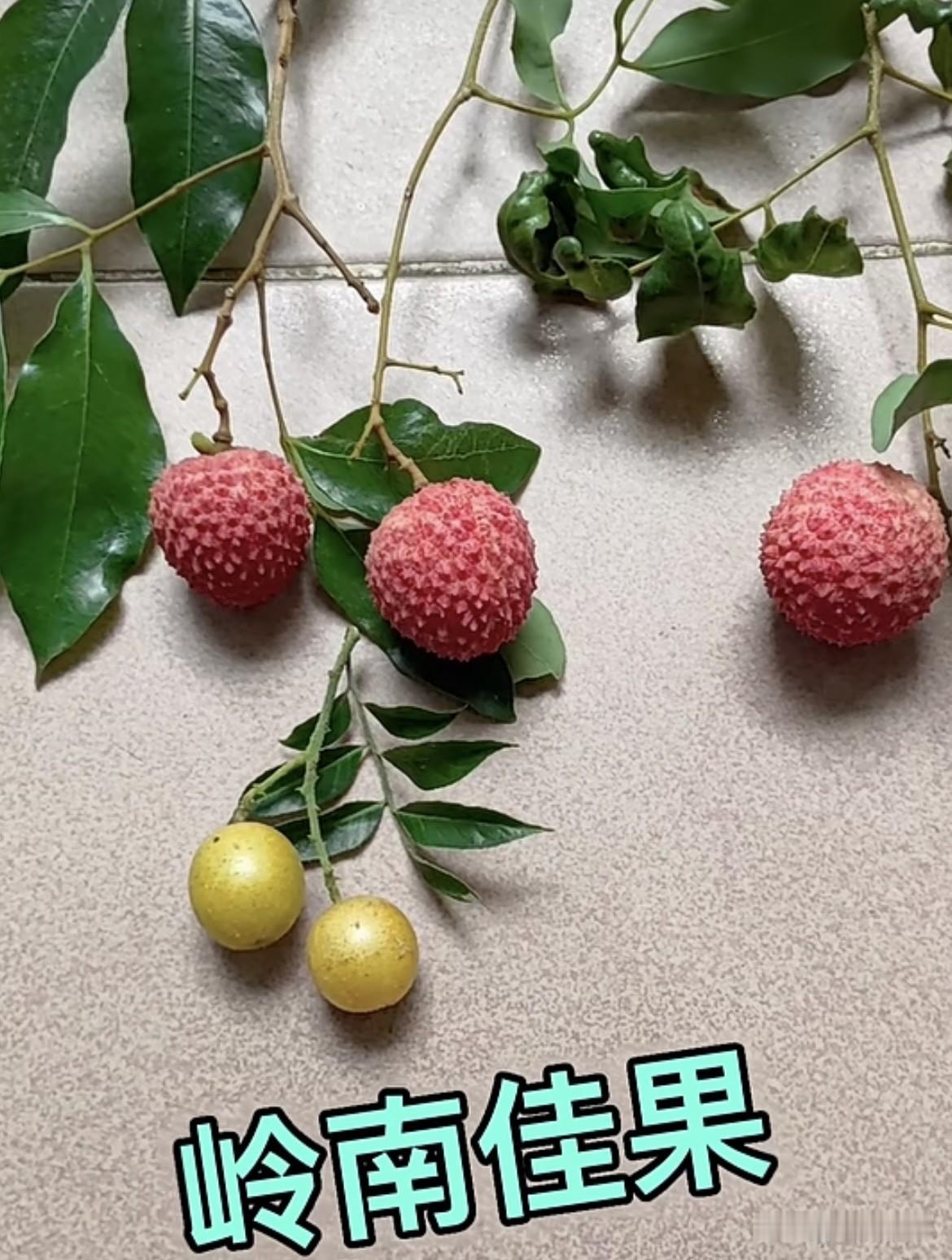 上句：春夏秋冬四季下雨
  下句：酸甜苦辣百般回味