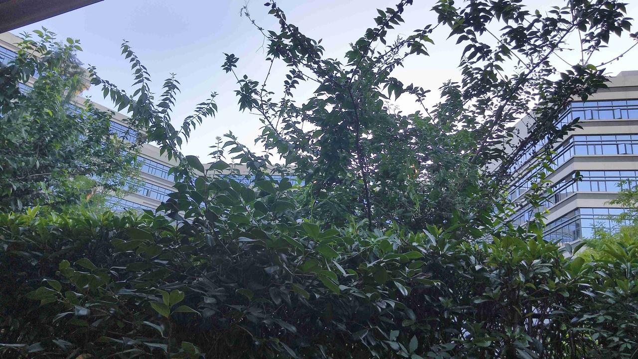 我的今日状态：😁轻松愉快
我这里的天气：☀️晴天