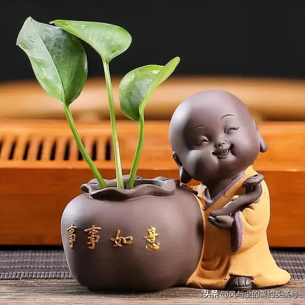 人生是自己的，日子也是自己的。没有谁有资格去当别人的人生规划师，更不能用一种价值