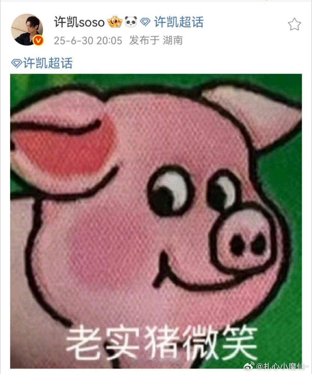 许凯有点抽象哦[允悲][允悲] ​​​