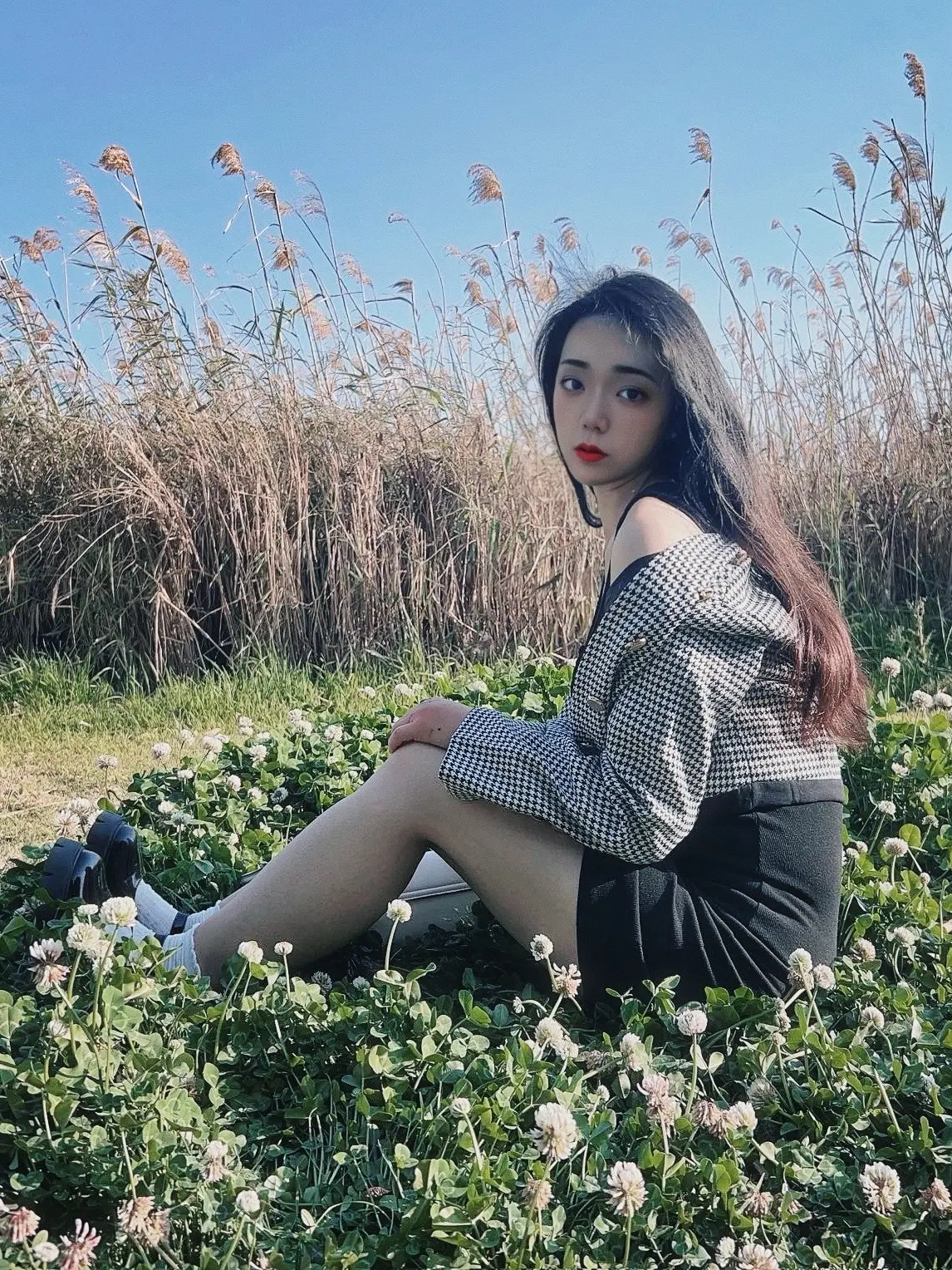 啦啦啦，春天在哪里呀？春天在大鹅的照片里