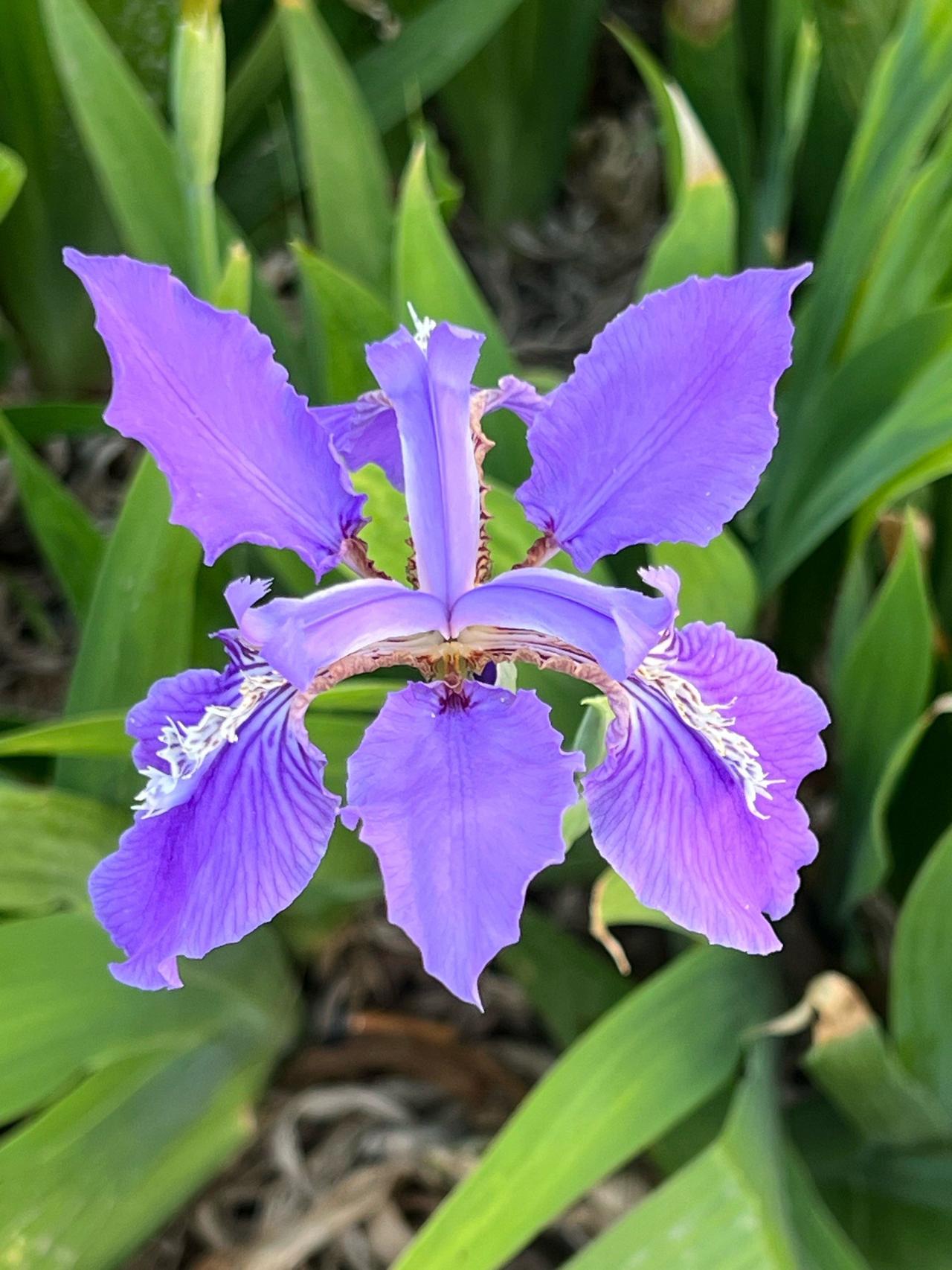 人到中年，应该明白，人和人之间，是有边界的。凡事都得适可而止，如此，彼此的关系才