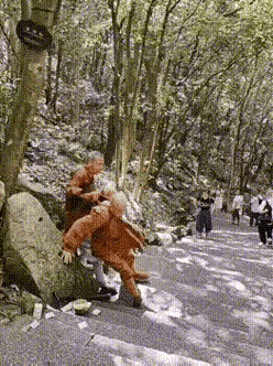 同是出家人，相煎何太急，让人有些看不懂了。老话说的好，扫地恐伤蝼蚁命，爱惜飞蛾纱