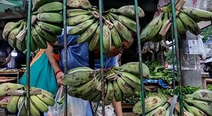 中国暂停进口菲律宾香蕉后，该国香蕉行业协会主管曾公开表达过怨气，他说：“中国断了