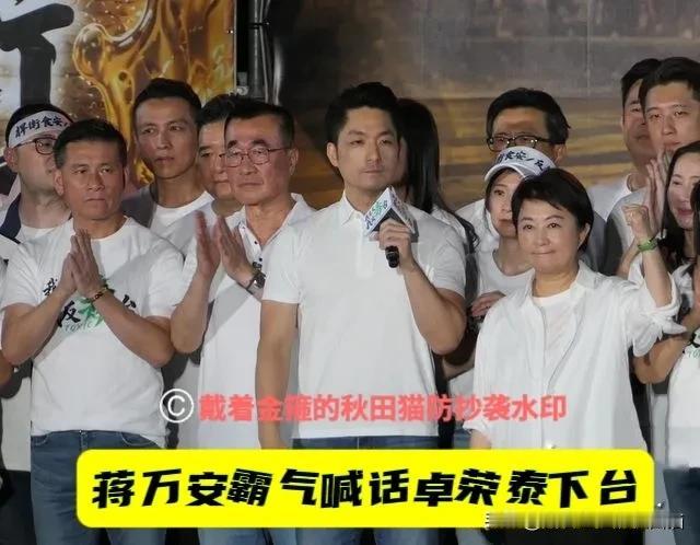 725凯道，或已开启民进党“下架”倒计时，蒋万安、韩国瑜、卢秀燕、郑丽文四人共同