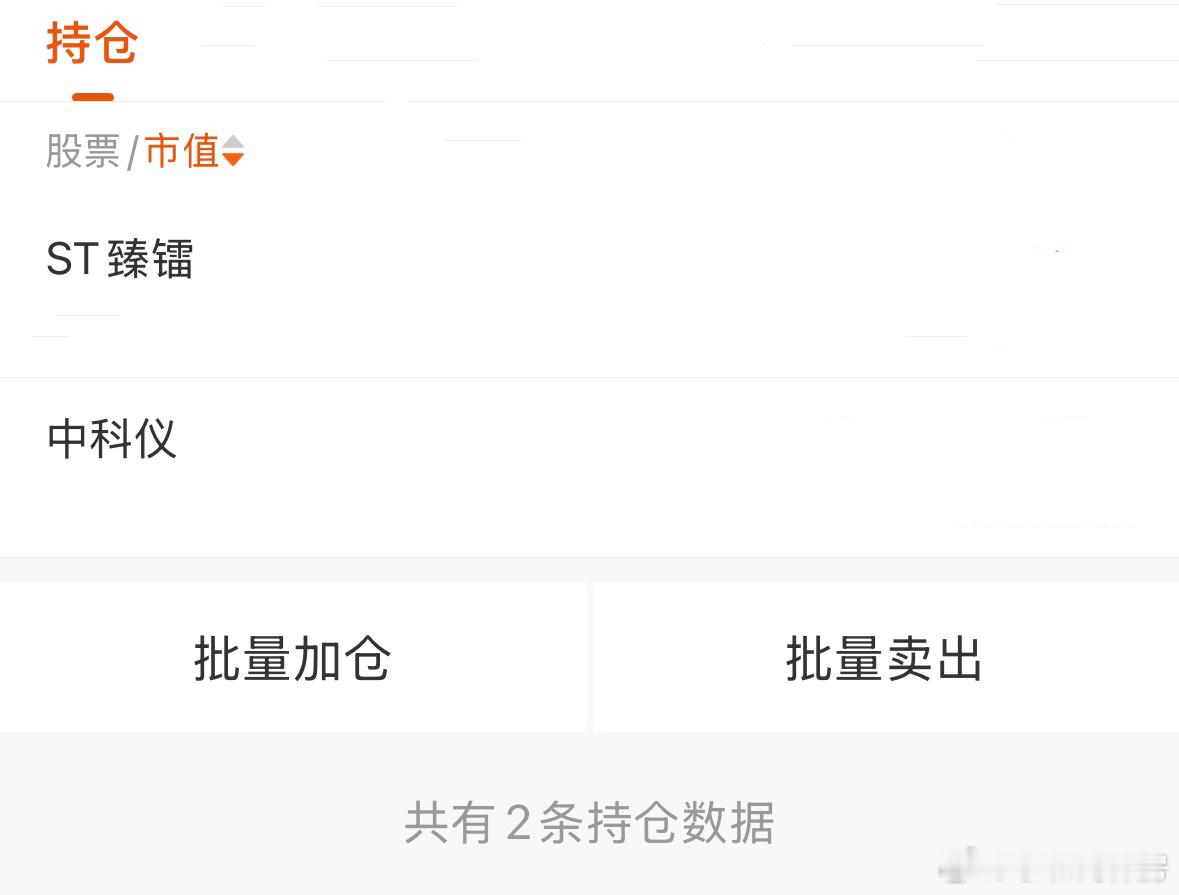 目前控制总仓，最新持仓股，不要追高这两个，我在等挖掘新的机会 
