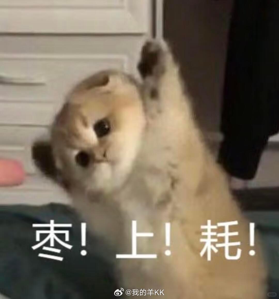 好消息特大好消息，今天星期五今天星期五 