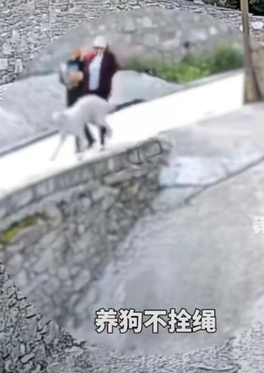 一条乡间的小路上，两名路人正正常沿路行走，既没招惹动物，也没靠近犬只，可一只体型