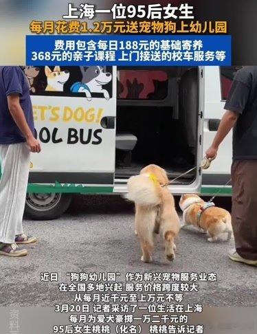 95后女生每月花1.2万送狗上学！上海一名95后女生因工作繁忙，每月花费1.2万