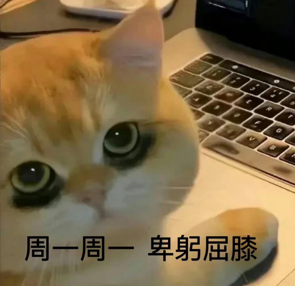 #周一精神状态belike# 为什么又是周一，打工人需要买些东西缓解一下内耗[泪