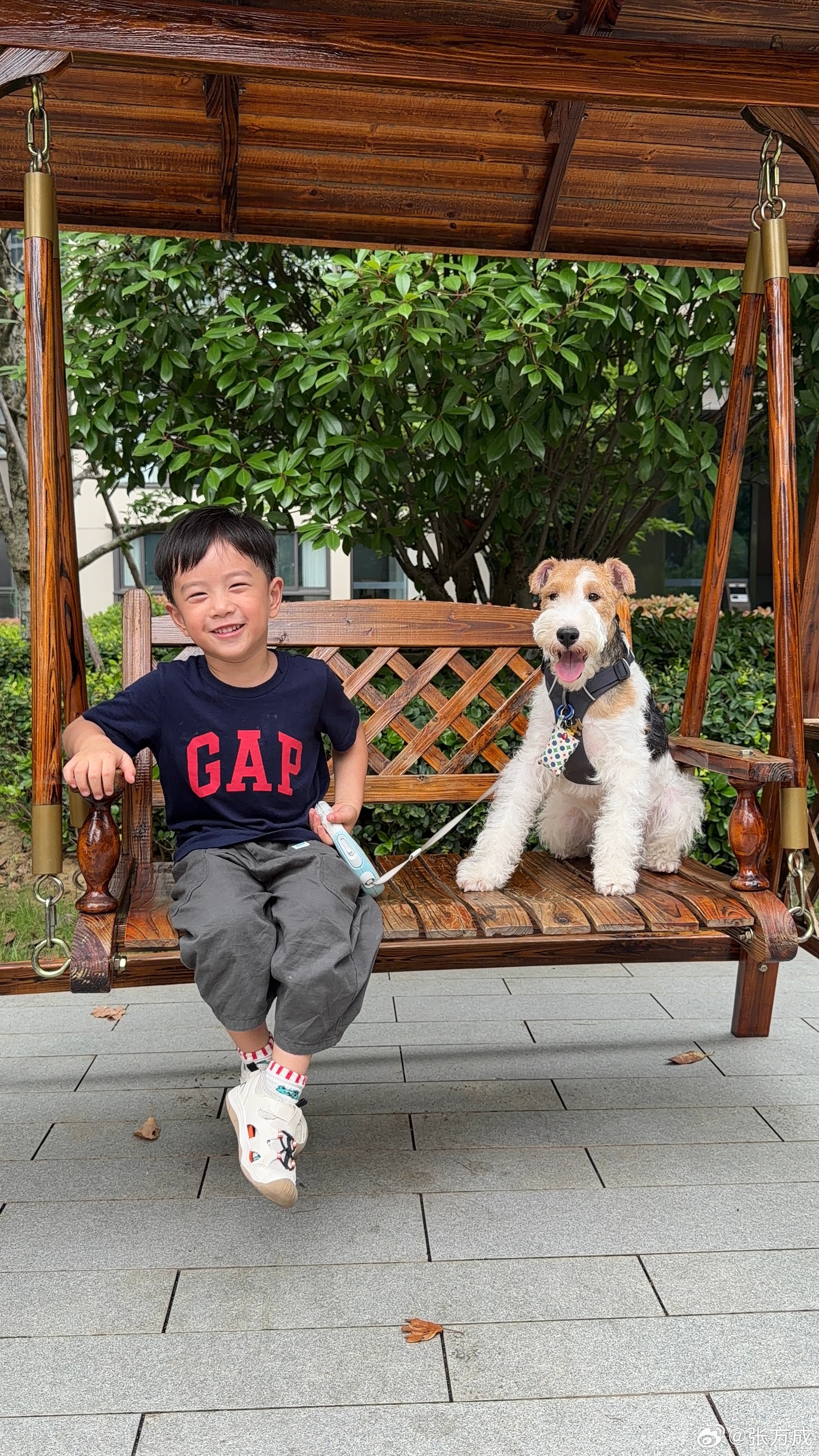 刷到张照片想想我就不给孩子买狗了以后一个月带橙子去看看这个狗狗去了还有人做好吃的