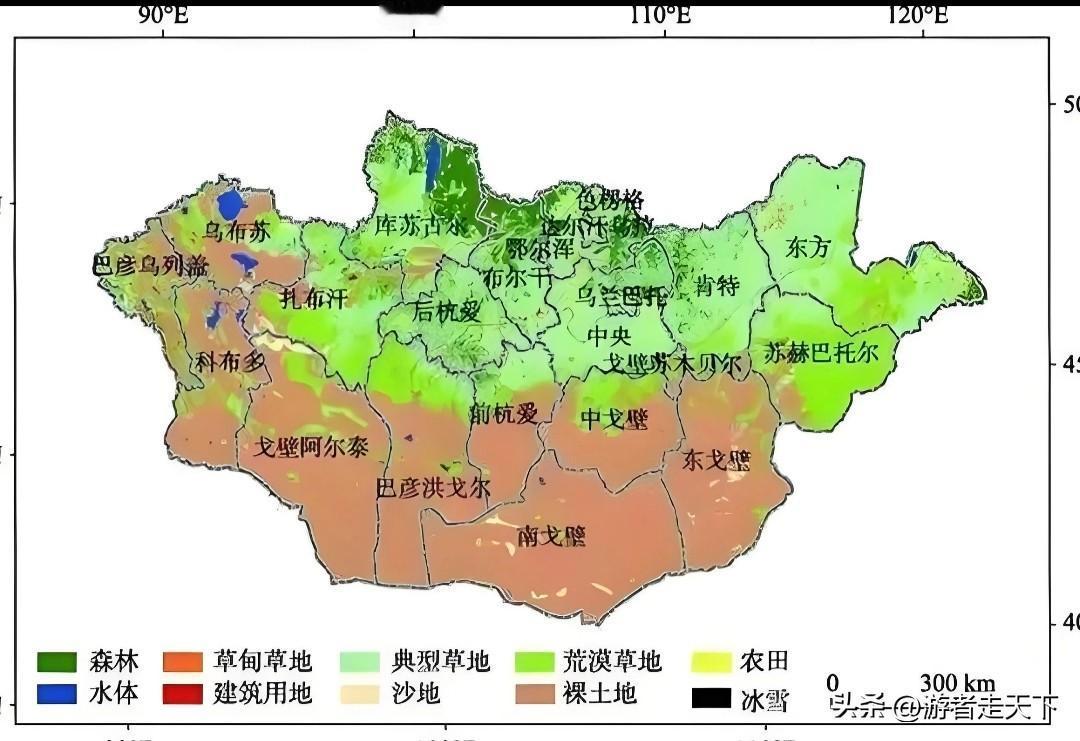 蒙古是一个游牧国家，然而蒙古国内的乳业市场，外国品牌却达到了40%以上。
蒙古国