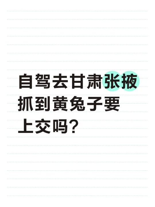 求问各大网友