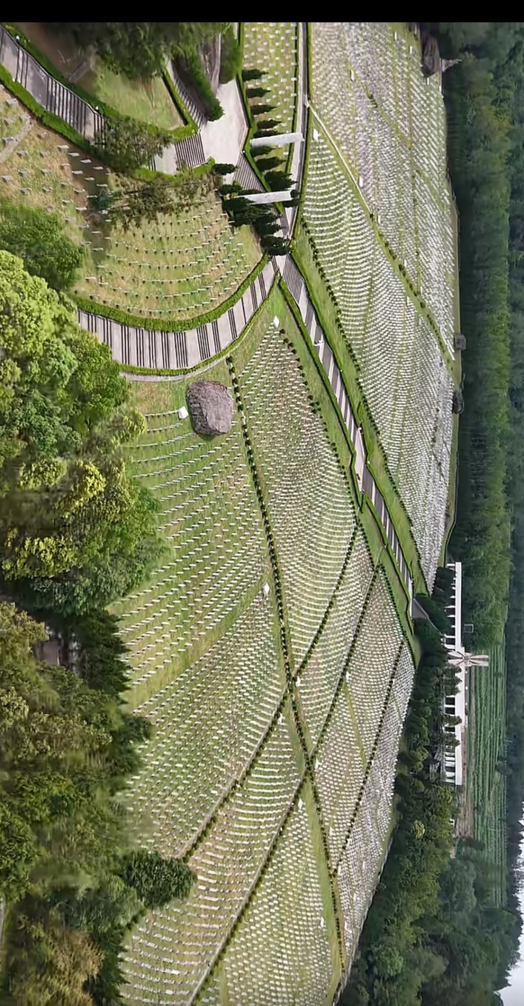 满山皆是人！
满山不见人！
苹命烈士永垂不朽！