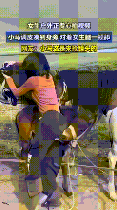调皮的小马也想要做舔狗吗？[捂脸][捂脸][捂脸]