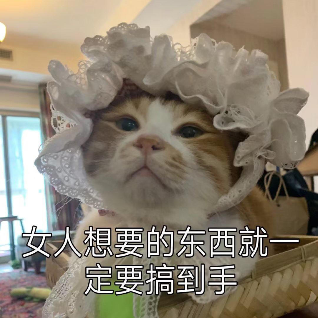 见到好朋友了好朋友上岸了恭喜不容易呀咪为你开心