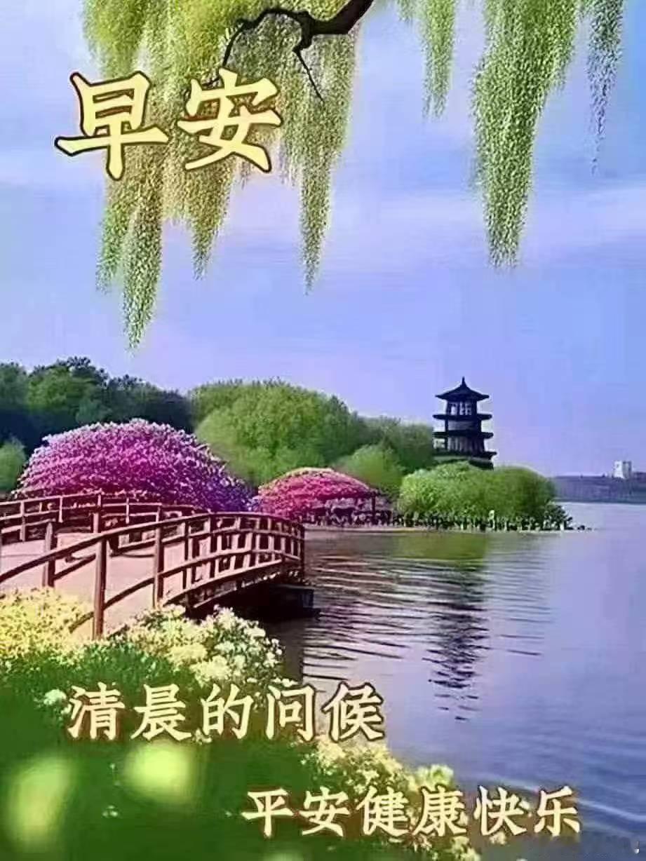 世事犹如书籍，一页页被翻过去。人要向前看，少翻历史旧账。——《生死疲劳》我的日常