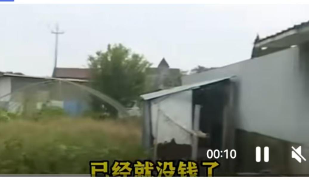 浙江嘉兴海盐县，一位陈先生的遭遇最近让无数网友心里五味杂陈。这个故事的开头充满了