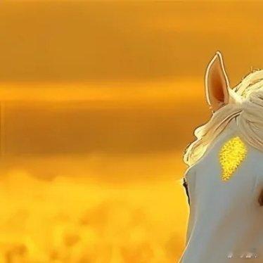 晋军[超话]  只要面对阳光努力向上，日子就会变得单纯而美好，早安 