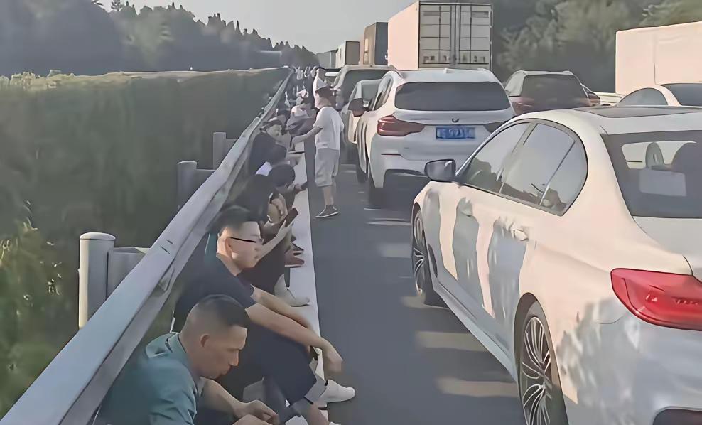 高速路上的都是卧龙凤雏，彼此预判了彼此的预判
没想到今年是30号就堵上了，去年1