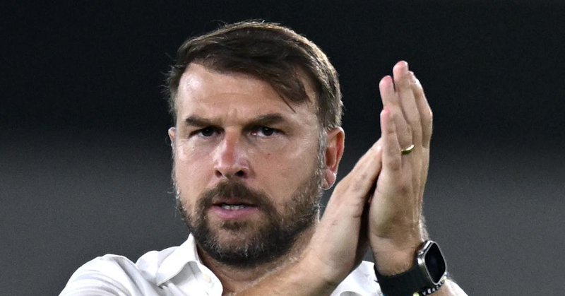 维罗纳主帅扎内蒂表示：