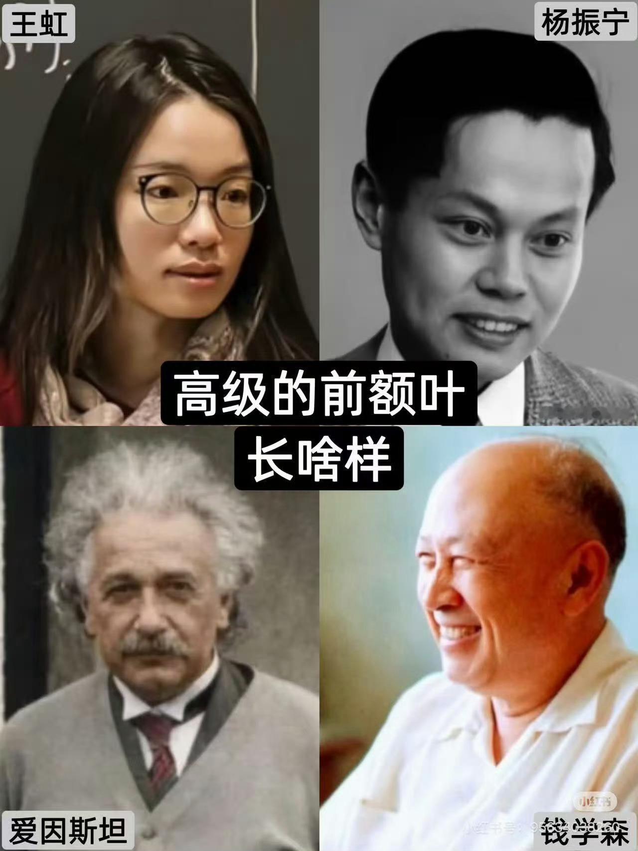 我好像也是大脑门儿啊，我怎么啥也没研究出来？