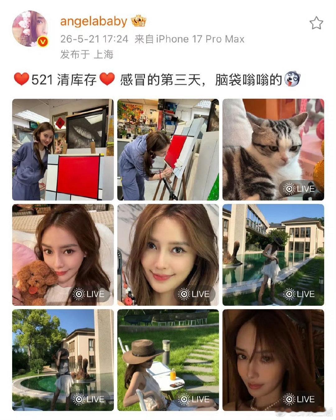 Angelababy感冒了Angelababy画的红黄蓝Angelababy画了