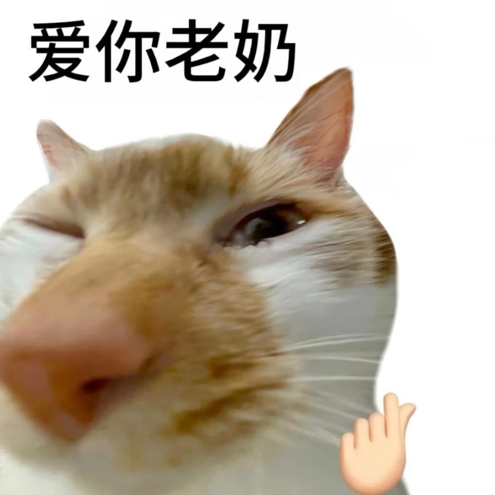 给阿嬷的情书在厨综出番外了一饭封神 谁能拒绝厨综这份温情番外，奶奶菜园中的各色食