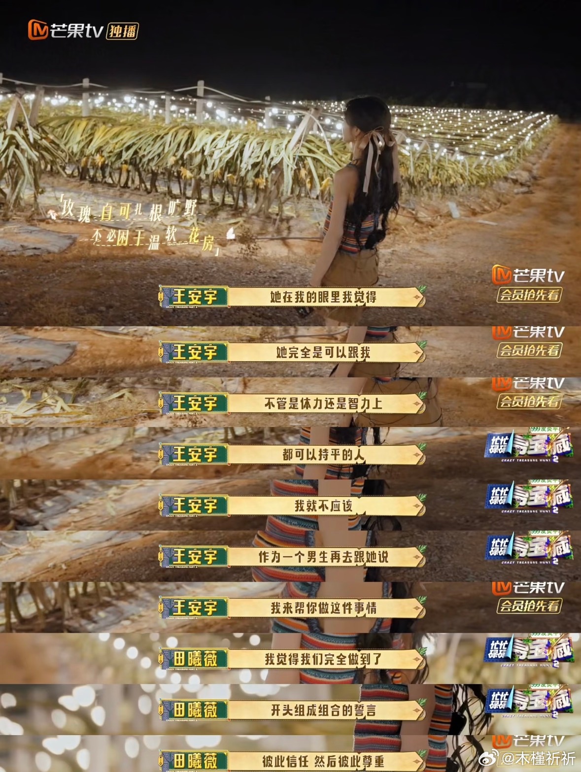 小田和安宇这段太戳我了节目组配的文字也写的好好：玫瑰自可扎根旷野，不必困于温软花
