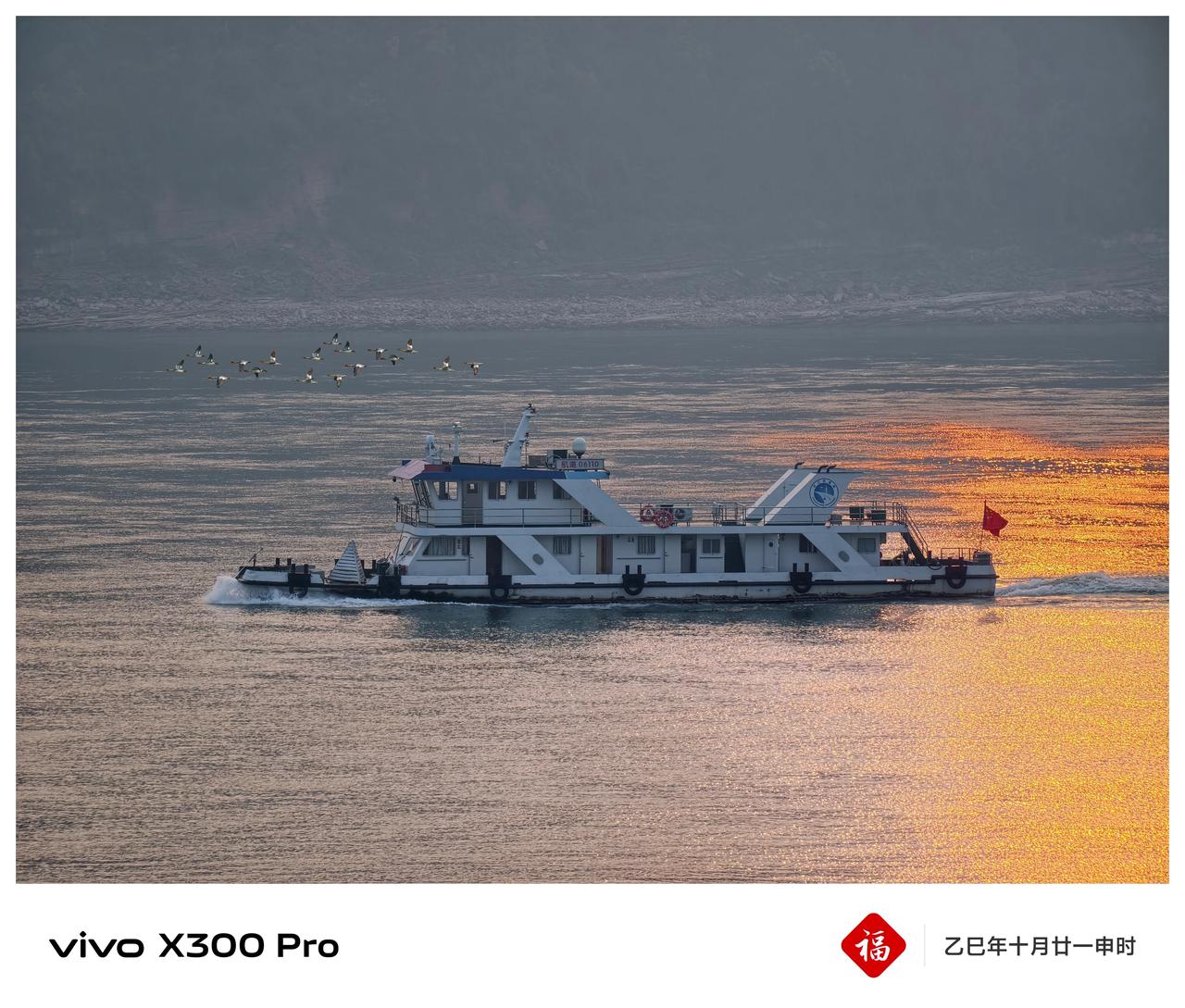 《江舟遇“稀客”：秋沙鸭的城间巡礼》
       从画面与生态双重维度深化解读