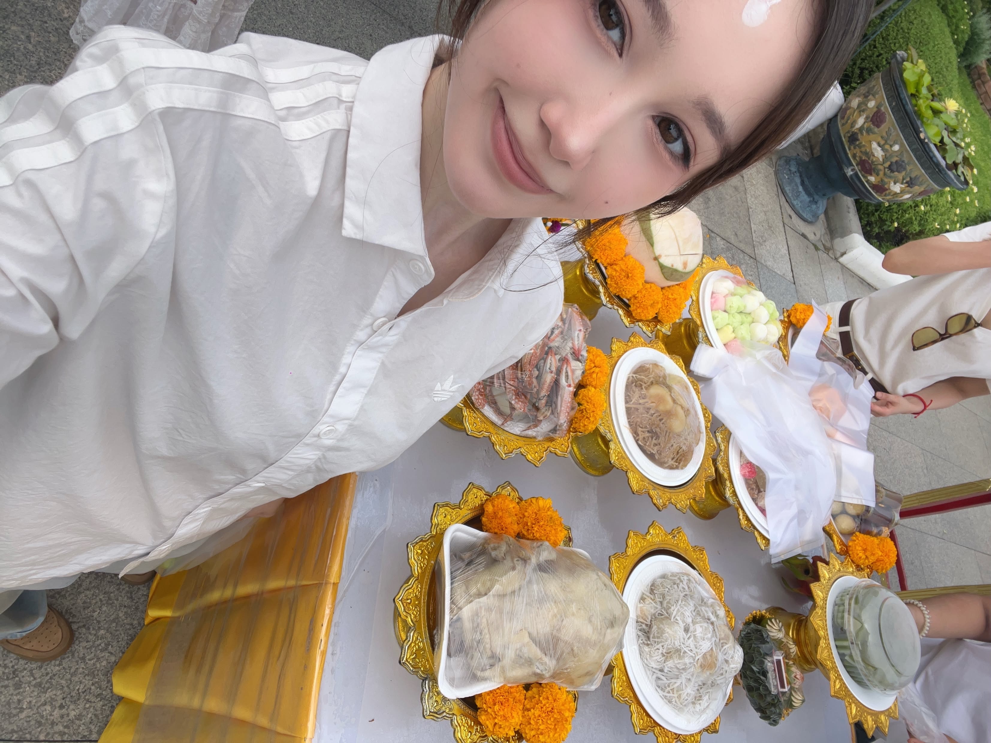 太太太太太萌了 
