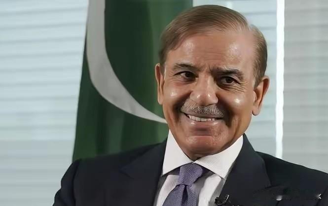 巴基斯坦已经给出了答案：对付山地游击武装，地面消耗是死路，枭龙和歼10CE才是正