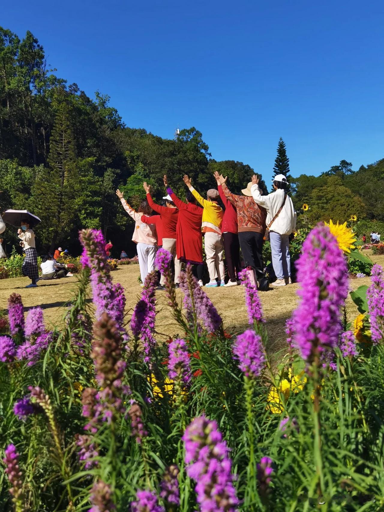 初冬时节，本以为万花凋谢，少有鲜花盛开，没想到仙湖植物园的花展令人惊讶。园中“天