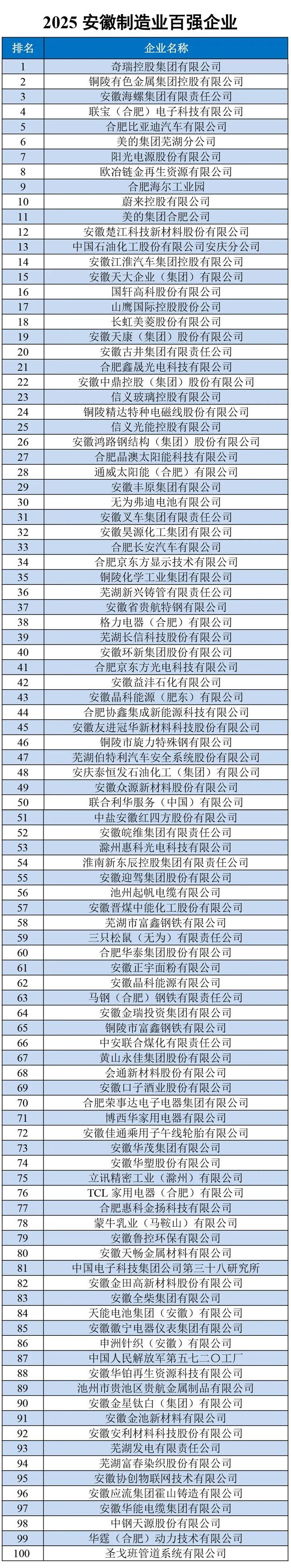 2025年安徽制造业百强 