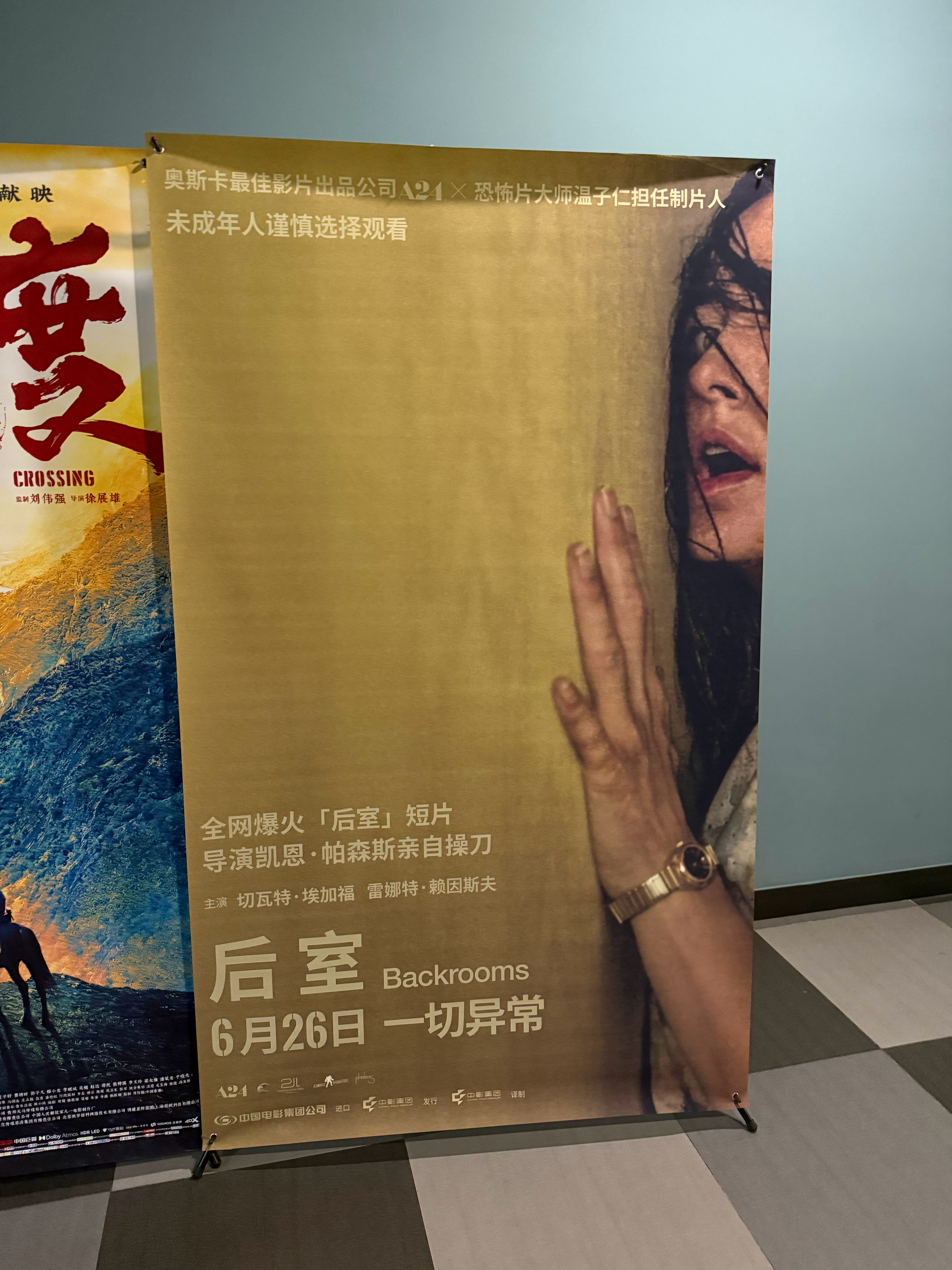终于看完后室了，整体真的蛮喜欢的，也真的太osgood vibe了（虽然知道他是