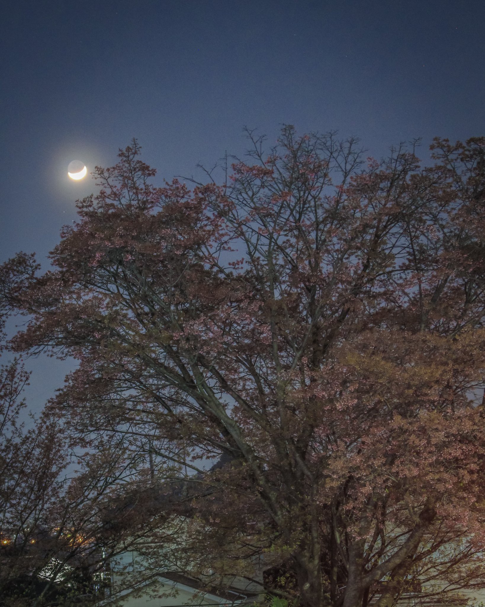 日本人喜欢在月下鉴赏事物，西洋人喜欢在太阳下理解事物。——河合隼雄于瑞士荣格研究