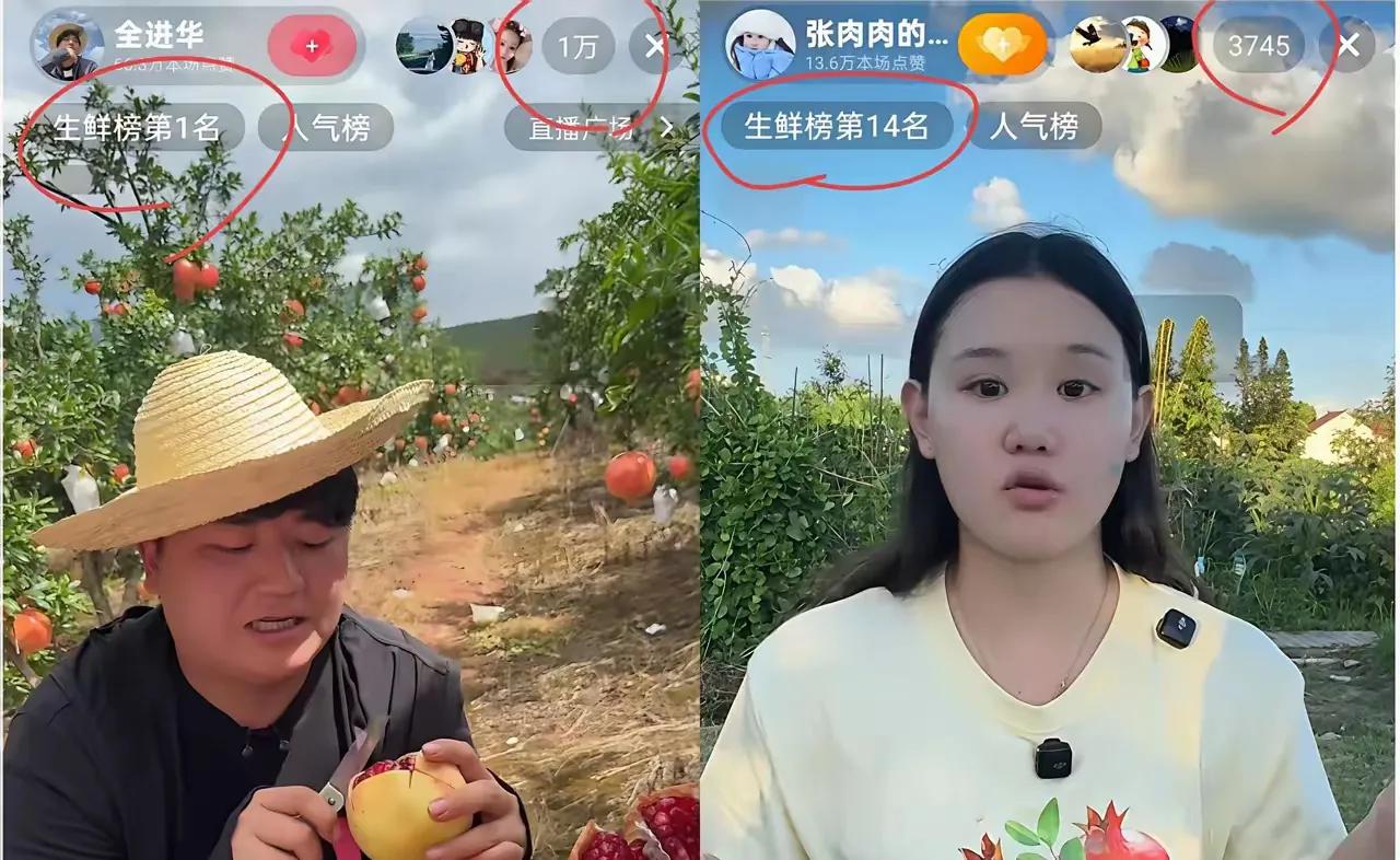 张家齐如今的发展其实很泛，就是不专注，一会直播卖农产品，一会上综艺展现自己的生活