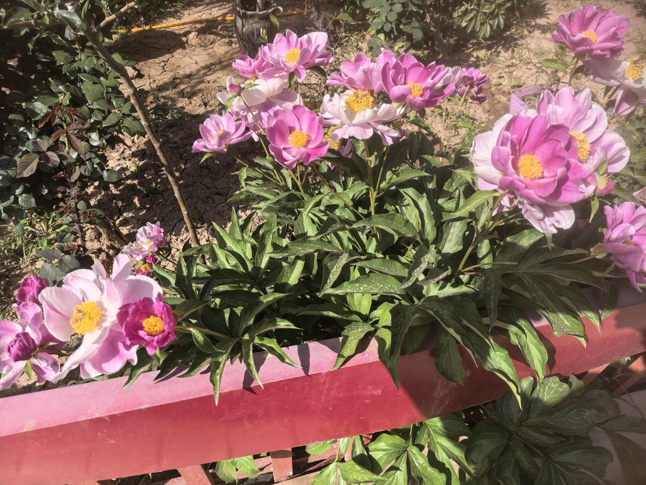 生活总有起伏，烦恼、焦虑、疲惫常常不请自来，但快乐从不是遥不可及的偶然，而是一种