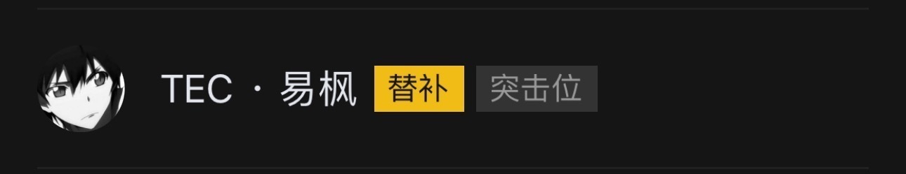 易枫转入TEC，担任替补突击位。名单显示，该选手将代表湖南TEC和平精英分部征战