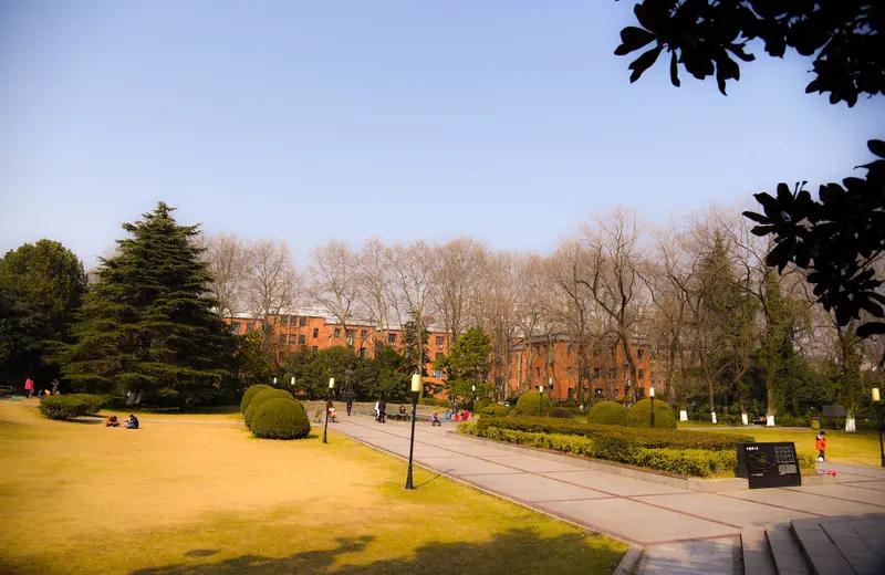 日本专家对中国大学进行排名时，仅依据世界自然指数和前沿科技，不考虑学校规模人数和