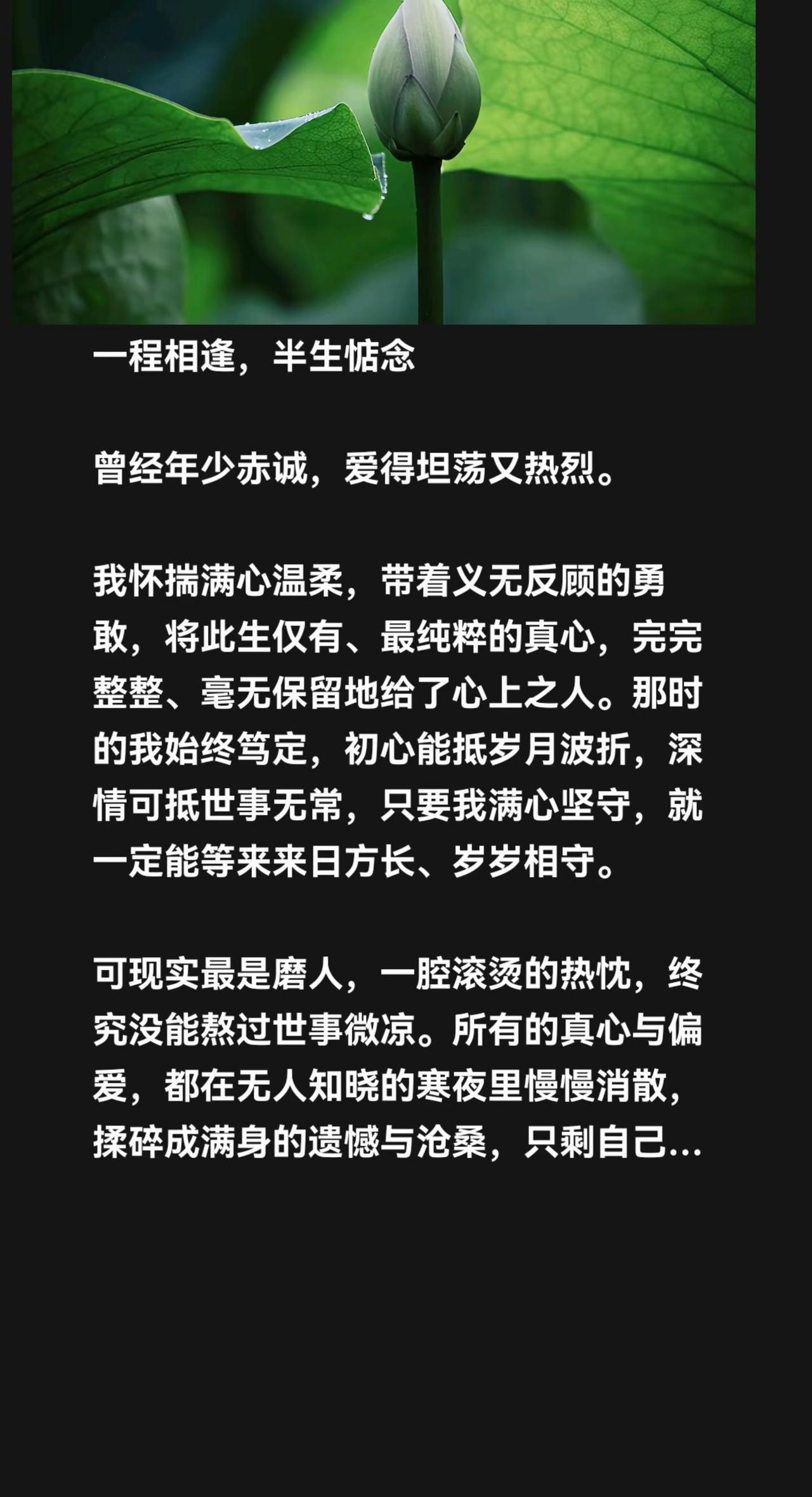 一程相逢，半生惦念。一程相逢，半生惦念 曾经年少赤诚，爱得坦荡又热烈。 我怀揣满