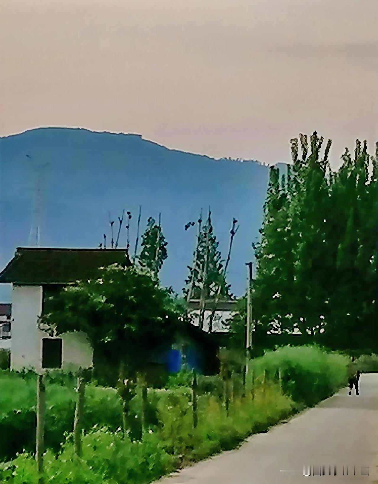 《小道散步（李林4月22日摄于汉中城固）》