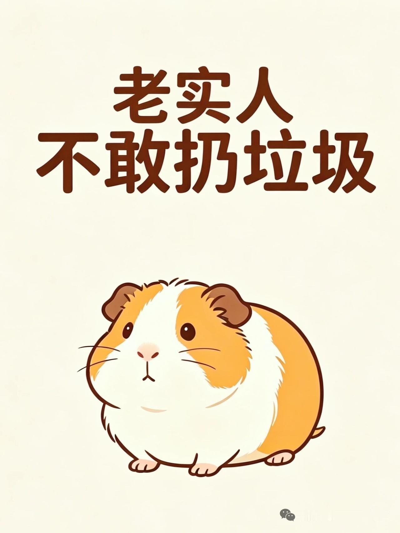 道德感越重的人，弱者气息越强，老实人连个垃圾都不敢扔

小区门口正在修管道，
垃
