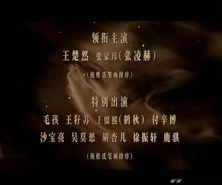 毛孩居然是真名张家玮夹在王楚然张凌赫中间