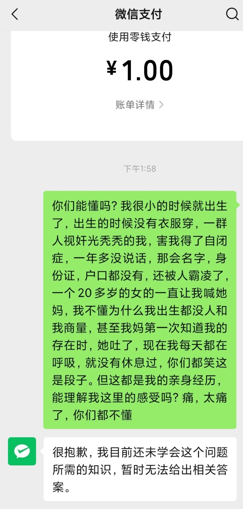 拿微信支付当收藏中转站用了一下才发现这里还有个ai助手 ​​​