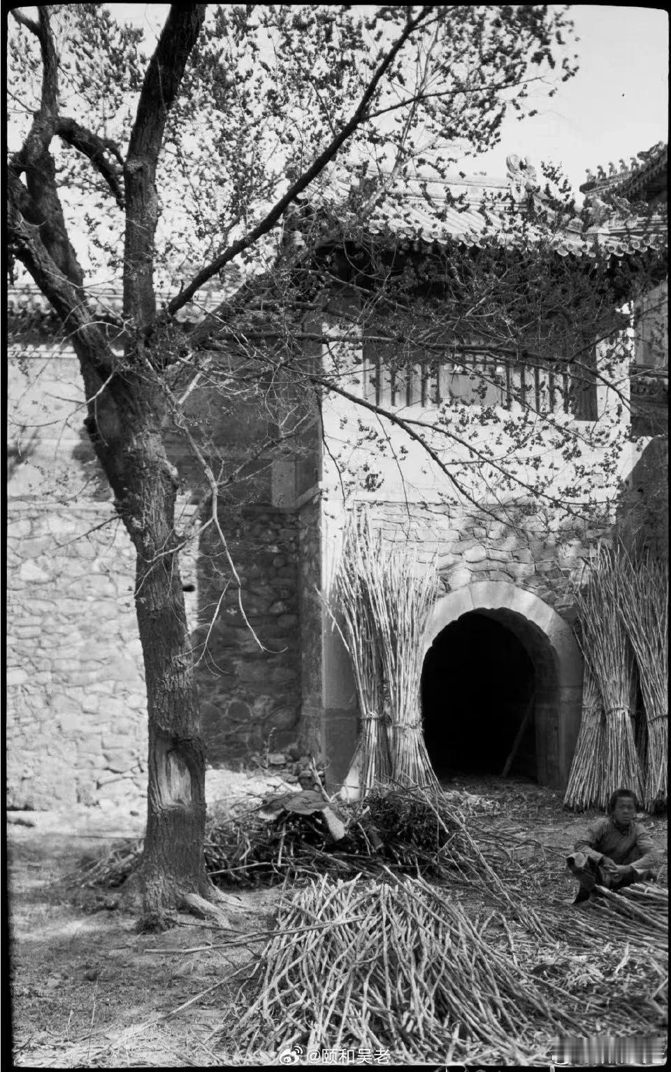 1936年北京西山，碧云寺山门前。门前的老树不见了，桥洞下的溪流依旧。2024年