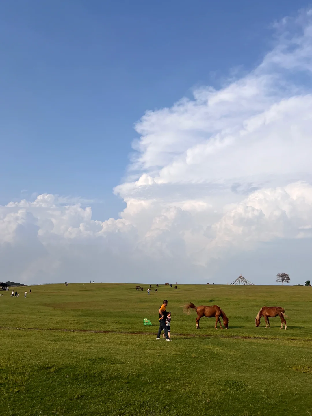 去了5次武汉木兰草原的经验📖照做不踩雷‼️